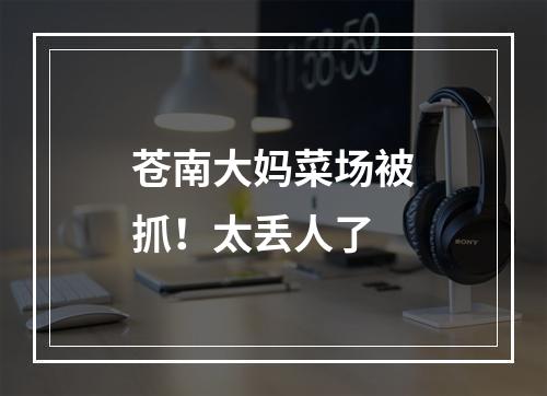 苍南大妈菜场被抓！太丢人了