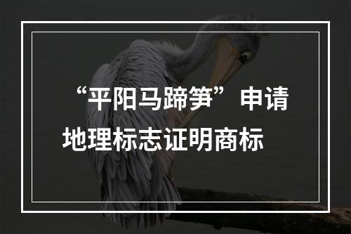 “平阳马蹄笋”申请地理标志证明商标