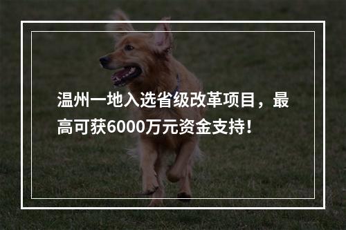 温州一地入选省级改革项目，最高可获6000万元资金支持！