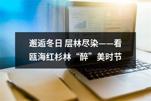 邂逅冬日 层林尽染——看瓯海红杉林“醉”美时节