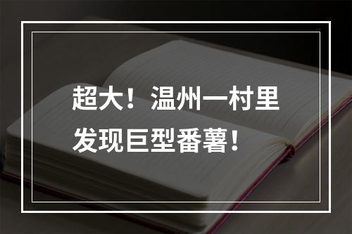 超大！温州一村里发现巨型番薯！