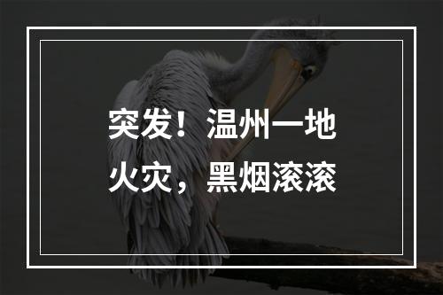 突发！温州一地火灾，黑烟滚滚