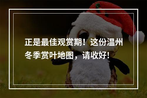 正是最佳观赏期！这份温州冬季赏叶地图，请收好!