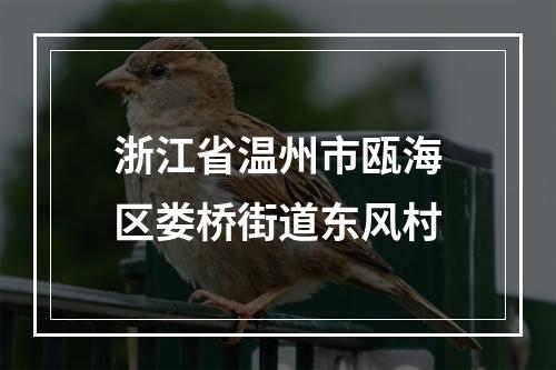 浙江省温州市瓯海区娄桥街道东风村