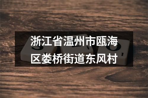 浙江省温州市瓯海区娄桥街道东风村