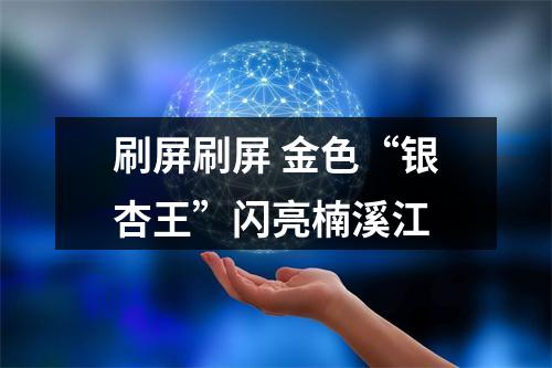 刷屏刷屏 金色“银杏王”闪亮楠溪江
