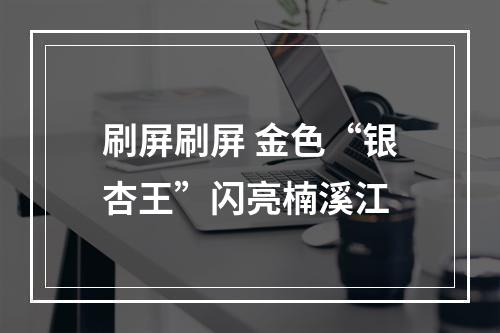 刷屏刷屏 金色“银杏王”闪亮楠溪江