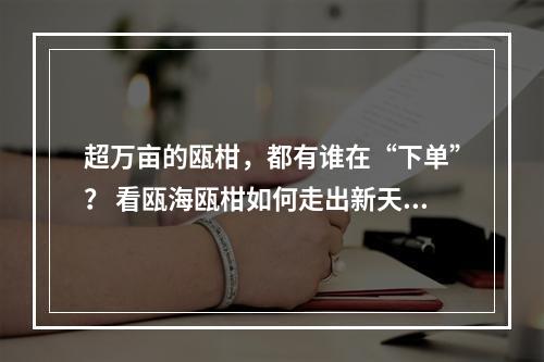 超万亩的瓯柑，都有谁在“下单”？ 看瓯海瓯柑如何走出新天地