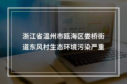 浙江省温州市瓯海区娄桥街道东风村生态环境污染严重