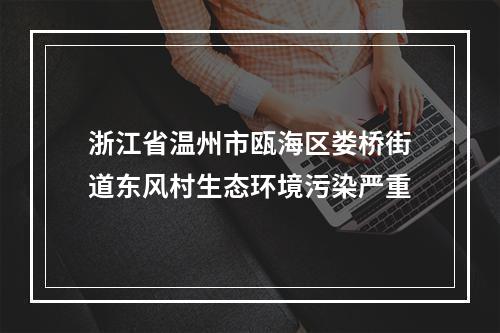 浙江省温州市瓯海区娄桥街道东风村生态环境污染严重