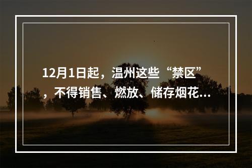12月1日起，温州这些“禁区”，不得销售、燃放、储存烟花爆竹！