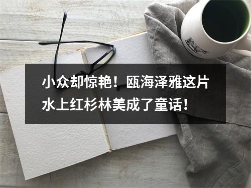 小众却惊艳！瓯海泽雅这片水上红杉林美成了童话！