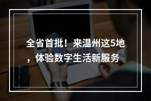 全省首批！来温州这5地，体验数字生活新服务