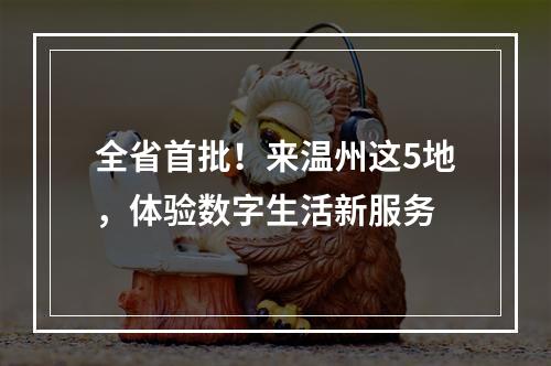 全省首批！来温州这5地，体验数字生活新服务