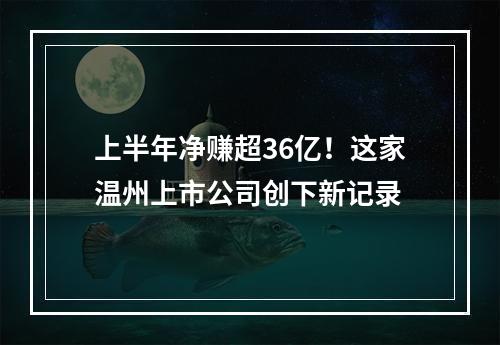 上半年净赚超36亿！这家温州上市公司创下新记录