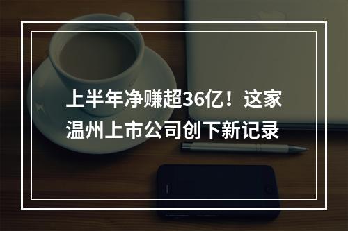 上半年净赚超36亿！这家温州上市公司创下新记录