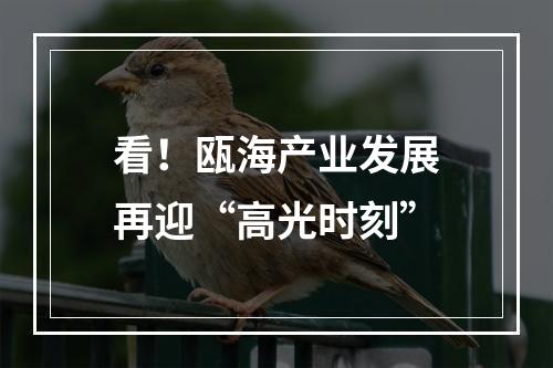 看！瓯海产业发展再迎“高光时刻”