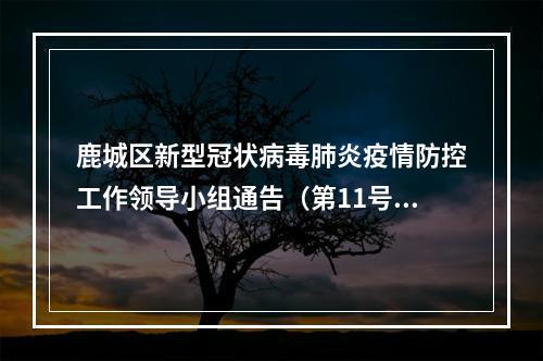鹿城区新型冠状病毒肺炎疫情防控工作领导小组通告（第11号）