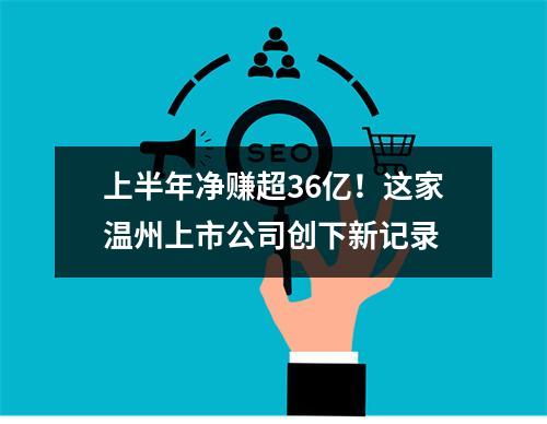 上半年净赚超36亿！这家温州上市公司创下新记录
