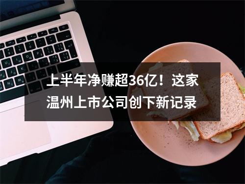 上半年净赚超36亿！这家温州上市公司创下新记录