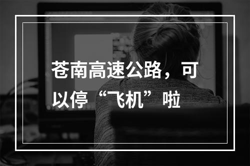 苍南高速公路，可以停“飞机”啦
