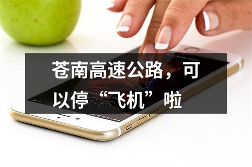 苍南高速公路，可以停“飞机”啦