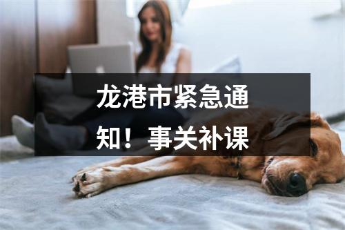 龙港市紧急通知！事关补课