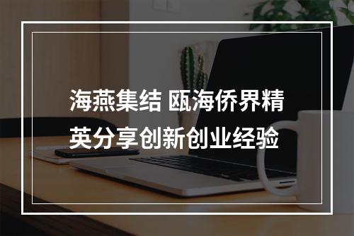 海燕集结 瓯海侨界精英分享创新创业经验