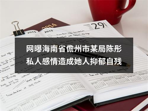 网曝海南省儋州市某局陈彤私人感情造成她人抑郁自残