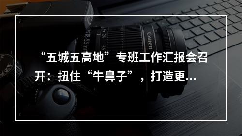 “五城五高地”专班工作汇报会召开：扭住“牛鼻子”，打造更多标志性成果