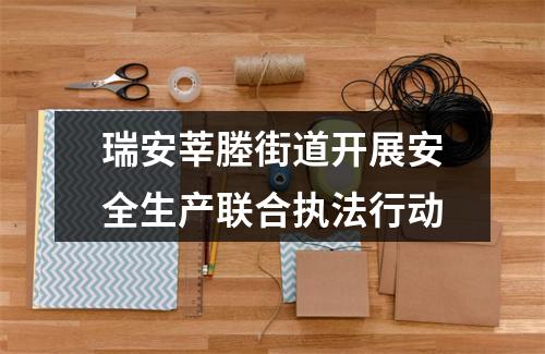 瑞安莘塍街道开展安全生产联合执法行动