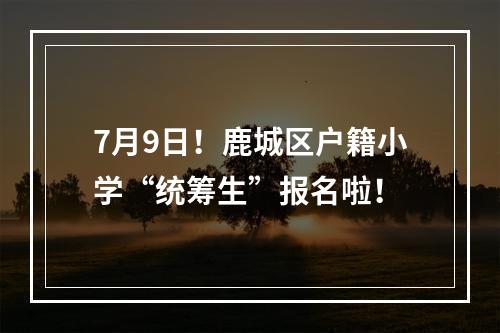 7月9日！鹿城区户籍小学“统筹生”报名啦！