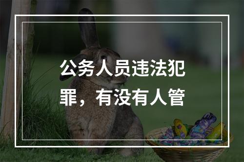 公务人员违法犯罪，有没有人管