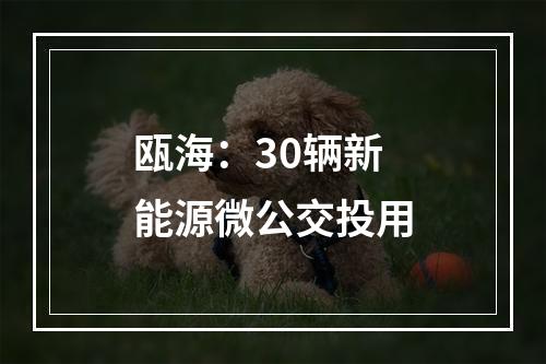 瓯海：30辆新能源微公交投用