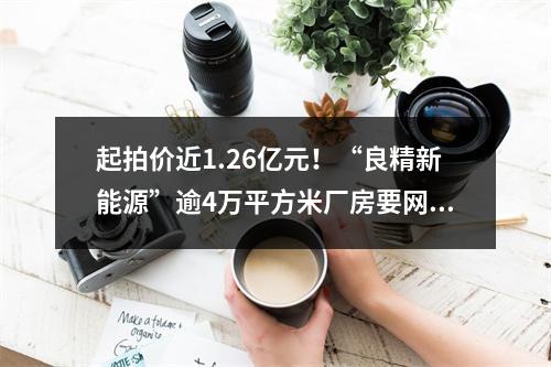 起拍价近1.26亿元！“良精新能源”逾4万平方米厂房要网拍