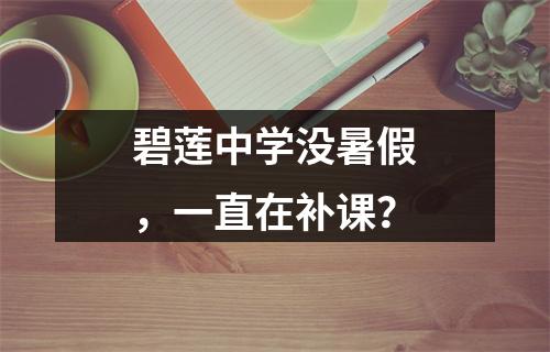 碧莲中学没暑假，一直在补课？