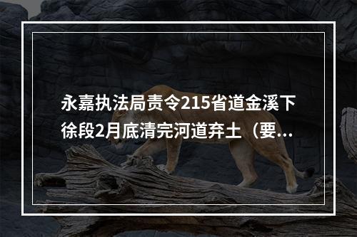 永嘉执法局责令215省道金溪下徐段2月底清完河道弃土（要盯牢）