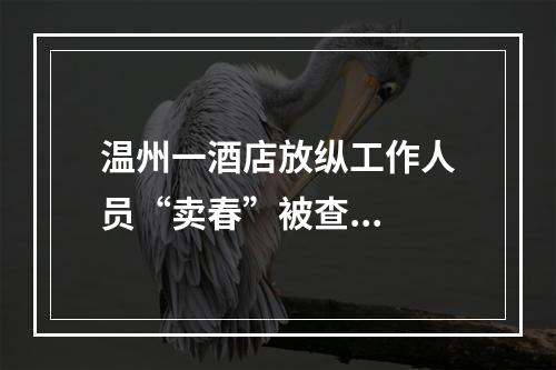 温州一酒店放纵工作人员“卖春”被查...