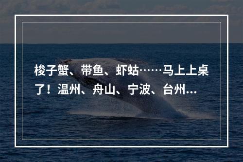 梭子蟹、带鱼、虾蛄……马上上桌了！温州、舟山、宁波、台州四地开渔