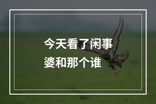 今天看了闲事婆和那个谁