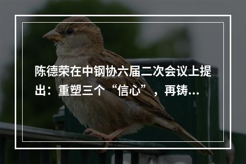 陈德荣在中钢协六届二次会议上提出：重塑三个“信心”，再铸新荣耀，再创新 ...
