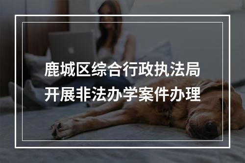 鹿城区综合行政执法局开展非法办学案件办理