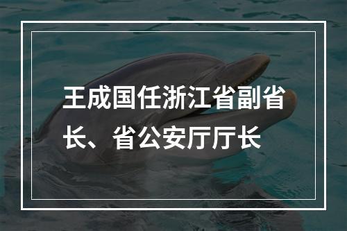 王成国任浙江省副省长、省公安厅厅长