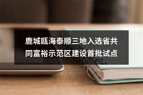 鹿城瓯海泰顺三地入选省共同富裕示范区建设首批试点