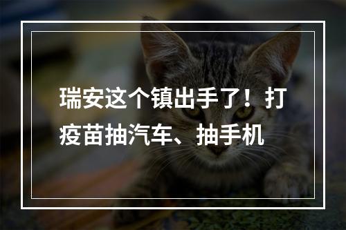 瑞安这个镇出手了！打疫苗抽汽车、抽手机