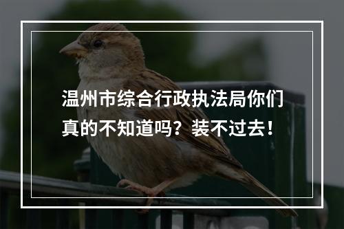 温州市综合行政执法局你们真的不知道吗？装不过去！