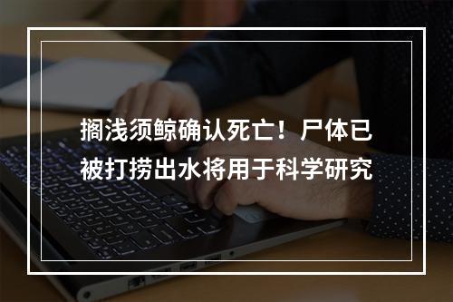 搁浅须鲸确认死亡！尸体已被打捞出水将用于科学研究