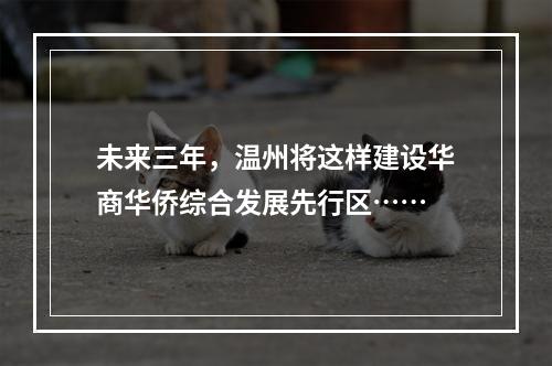 未来三年，温州将这样建设华商华侨综合发展先行区……