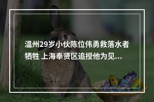 温州29岁小伙陈位伟勇救落水者牺牲 上海奉贤区追授他为见义勇为先进个人
