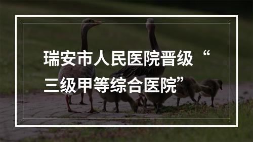 瑞安市人民医院晋级“三级甲等综合医院”